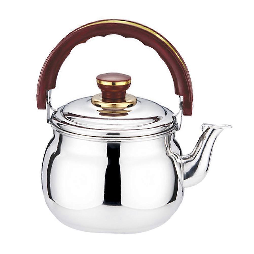 Stainless Steel Kettle for Boiling Water Practical