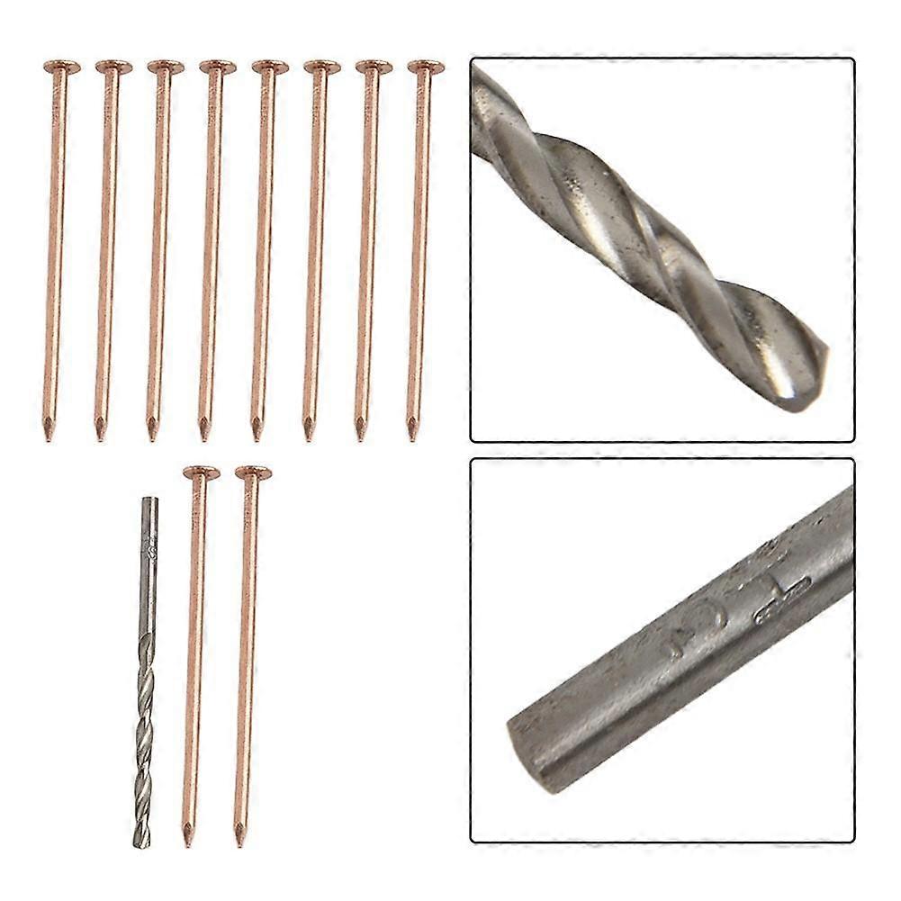 10pcs Nail Set Copper Nails Stump Removal Tree Killer