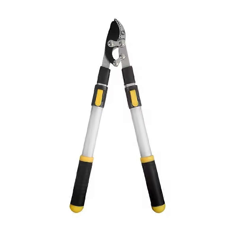 Extendable Pruning Shears with Sharp Precision Blades for Fruit Trees and Long Reach Branch Cutting