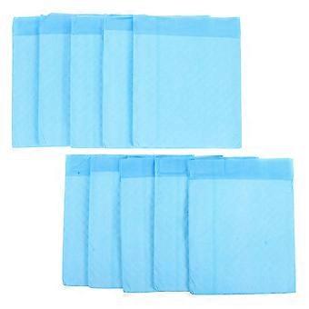 10 Teile / 1 Satz Vogelkäfig Pad Papier Einweg Wasserabsorbierendes Papageienkäfig Chassis Pad Papier Vogelmist-Pad (Himmelblau)