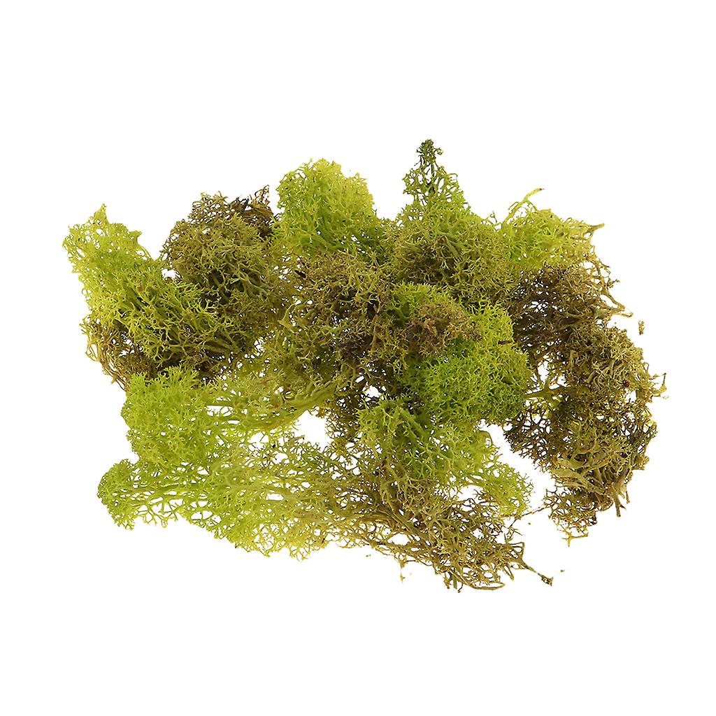 500ML Model Sand Table Grass Vegetation for Simulation Scenery Yellow Green