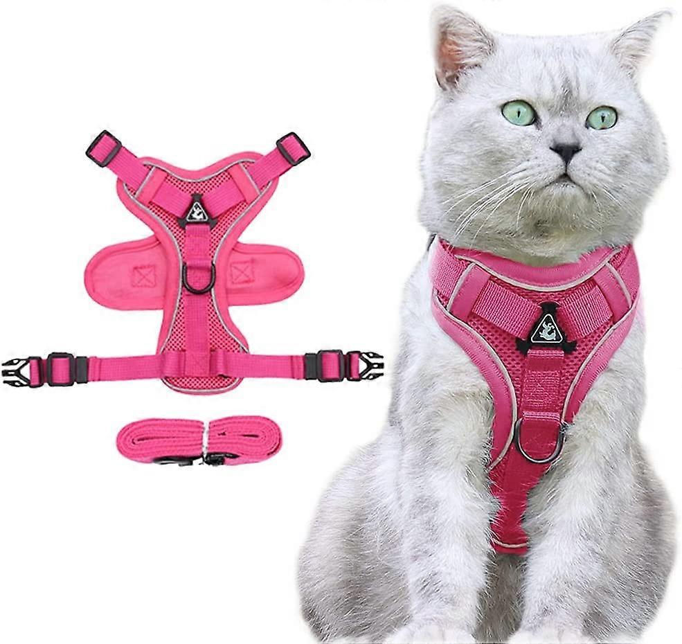 Dog Harness and Lead Set for Small Medium cat- Adjustable Elastic Strap Vest Harnessesrose red,S