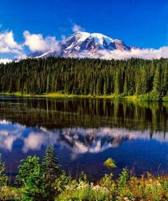 Mt. Rainer II Poster