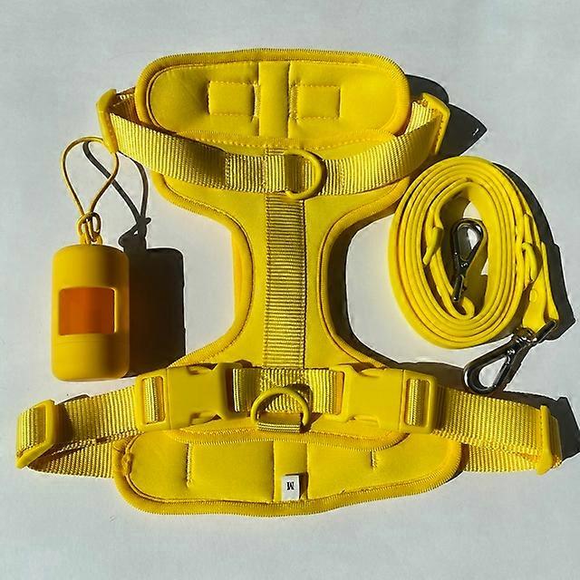 No Pull Lightweight Dog Harness Adjustable Durable Breathable Mesh Pet Vest Harness with Soft Comfortable CushionPet Leashes