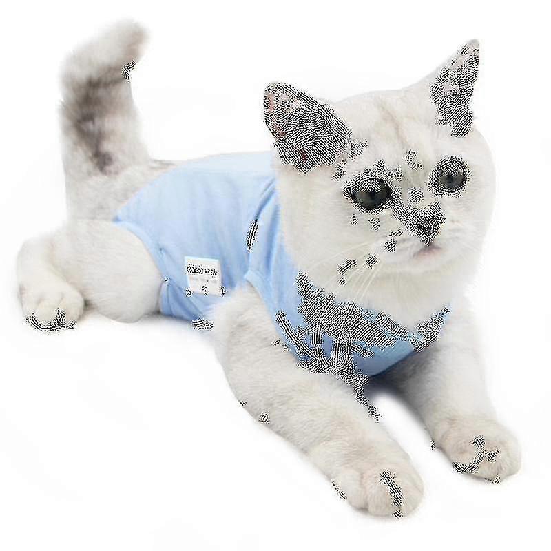 Odzież dla kota do noszenia po operacji