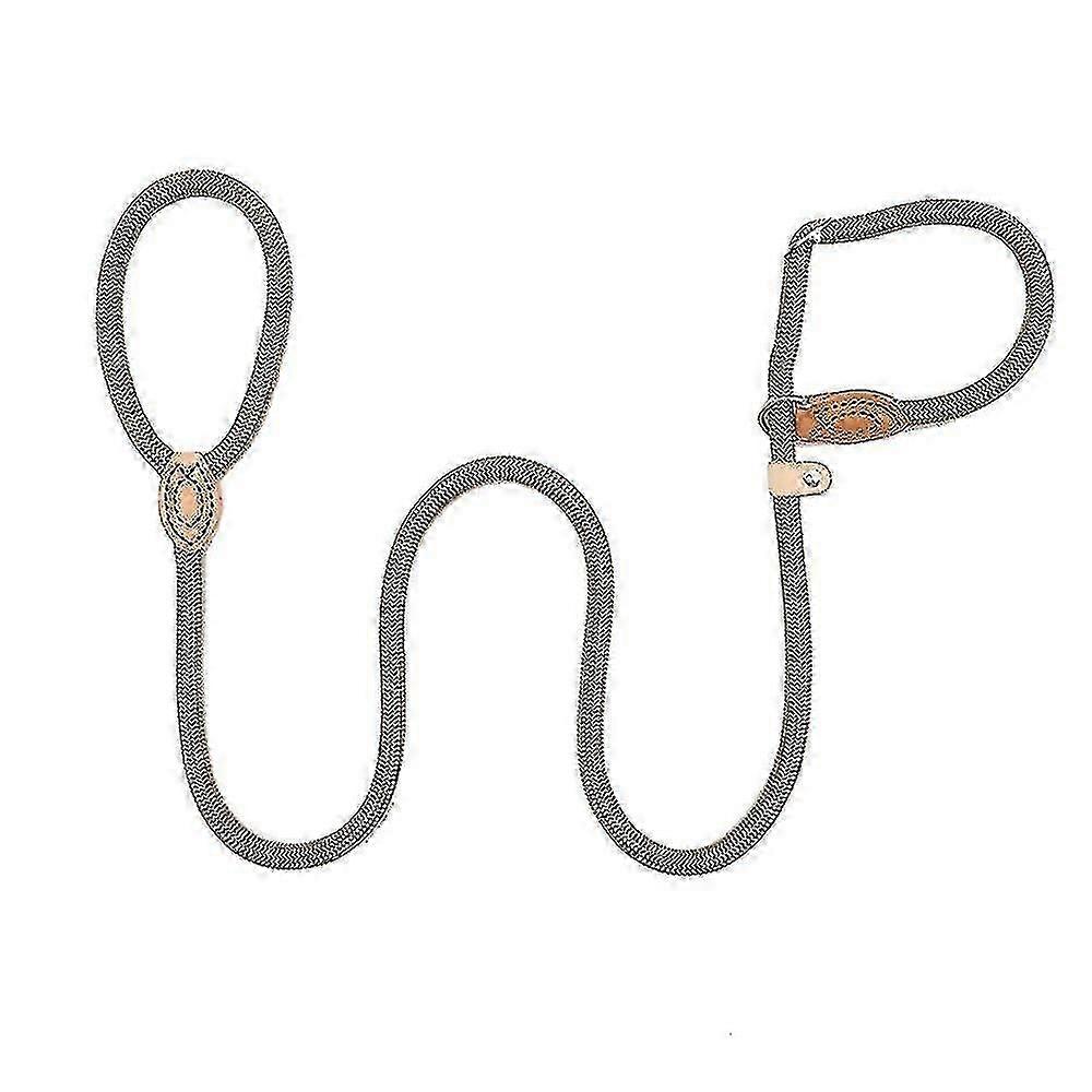 Dog Leash, Slip Rope Dog Leash, Bed Pet