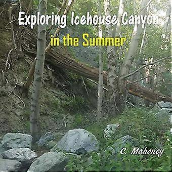 Icehouse Canyoniin tutustuminen kesällä