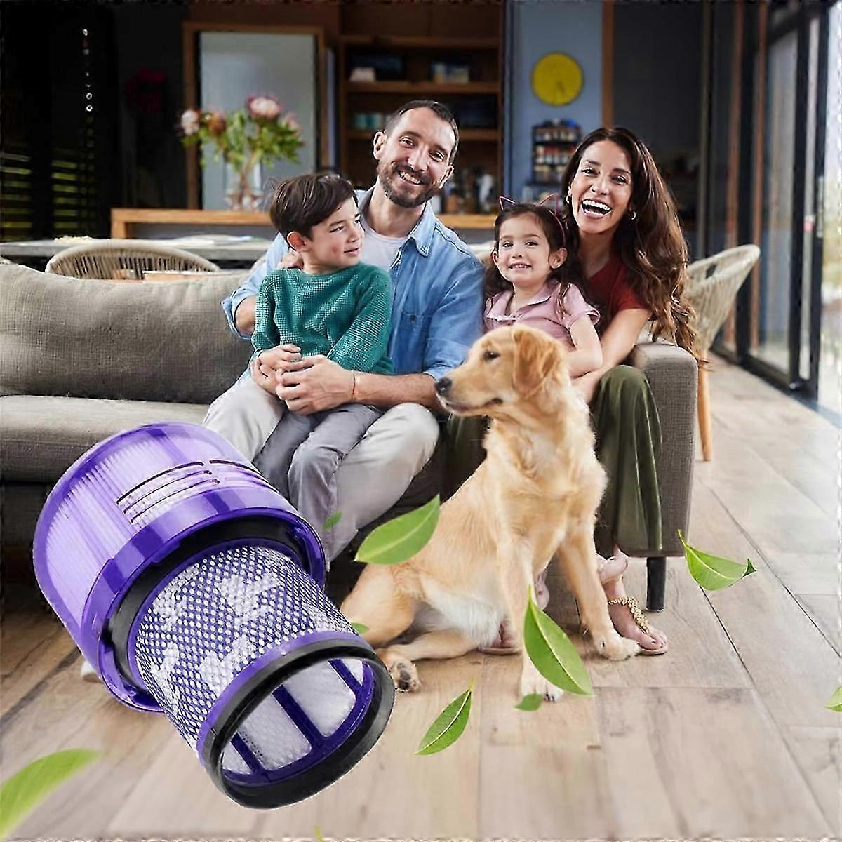 Apply True HEPA Premium Filter Replacement for V12 Detect Slim /SV34