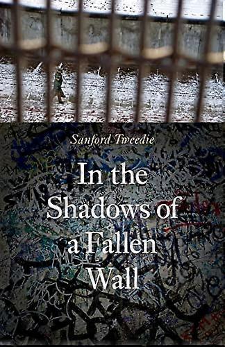 In the Shadows of a Fallen Wall