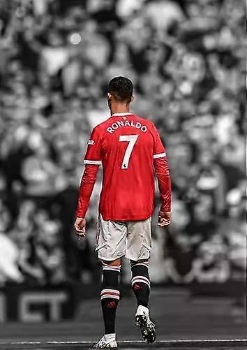 Ronaldo EE2Stress Reliever Jigsaw Puzzle QT 1866