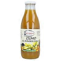 Organic Apricot Juice 1 L