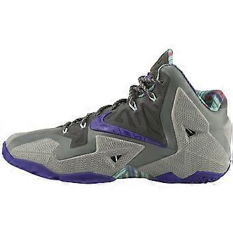 Nike LeBron 11 Terracotta Warrior 616175-005