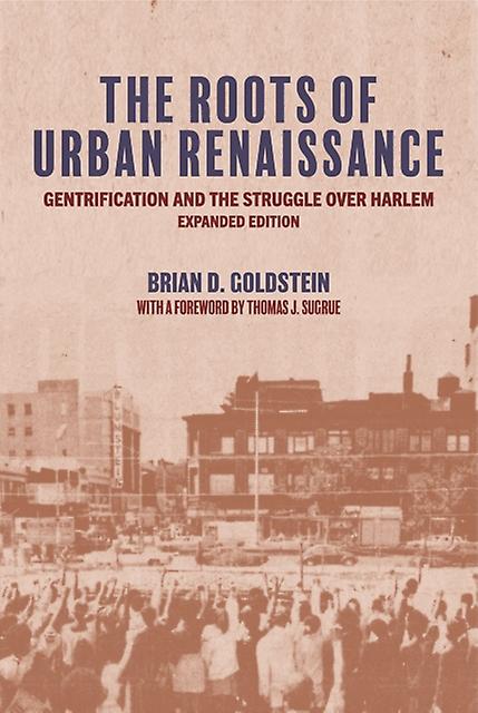 The Roots Of Urban Renaissance by Brian D. Goldstein Paperback