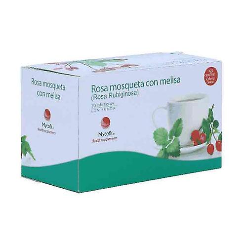 Rosehip + lemon balm infusion 20 infusion bags