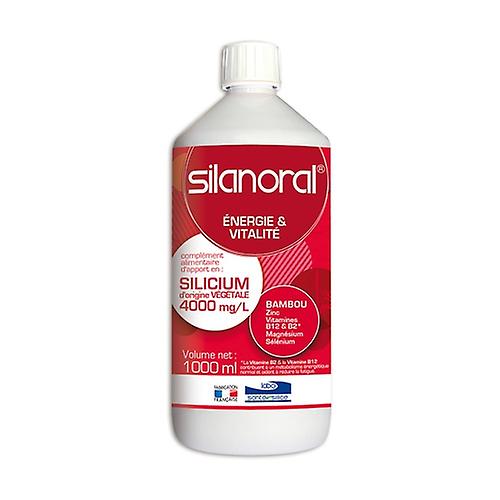 Silanoral 1 L