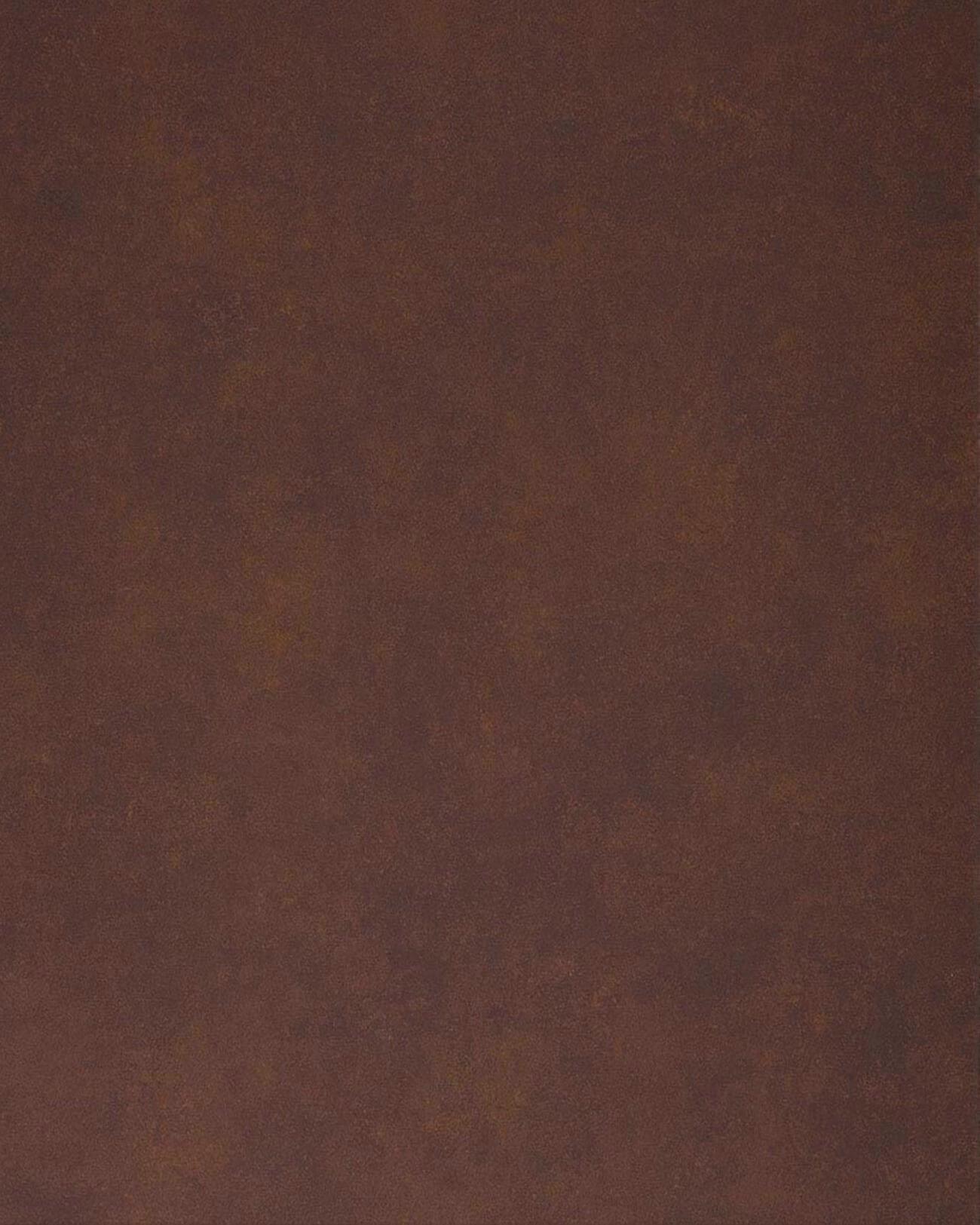 Wandpaneel Used look WallFace 25548 Corten Nature Wandverkleidung strukturiert in Metall-Optik matt selbstklebend braun rot-braun 2,6 m2