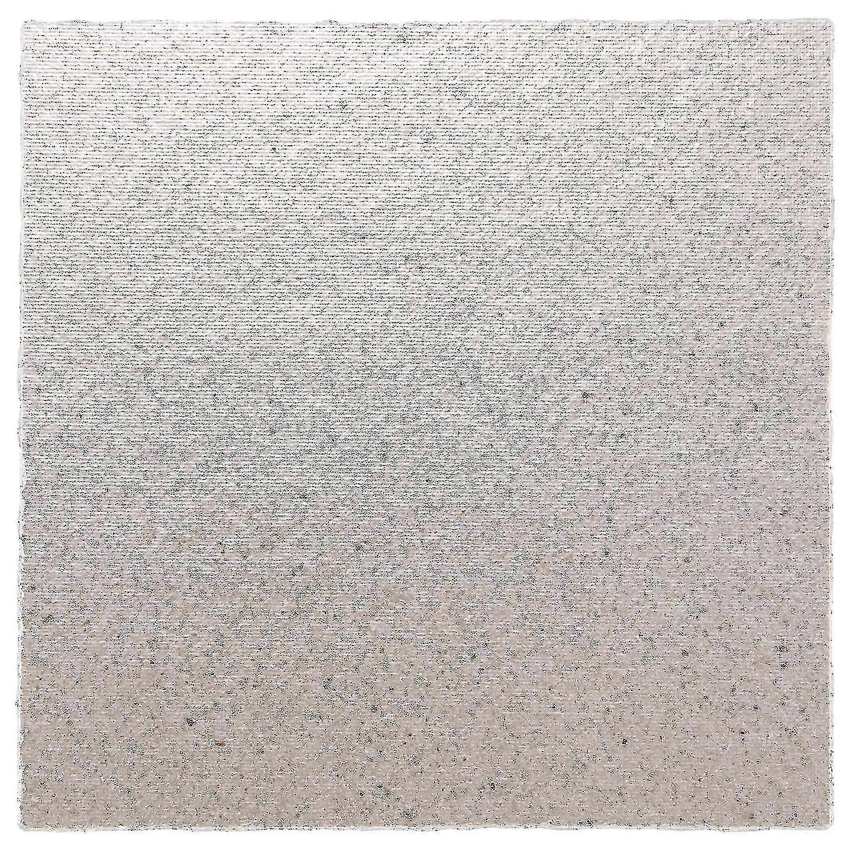 2 X Replacement 12 X 12 Cm Plate Mica For Microwave