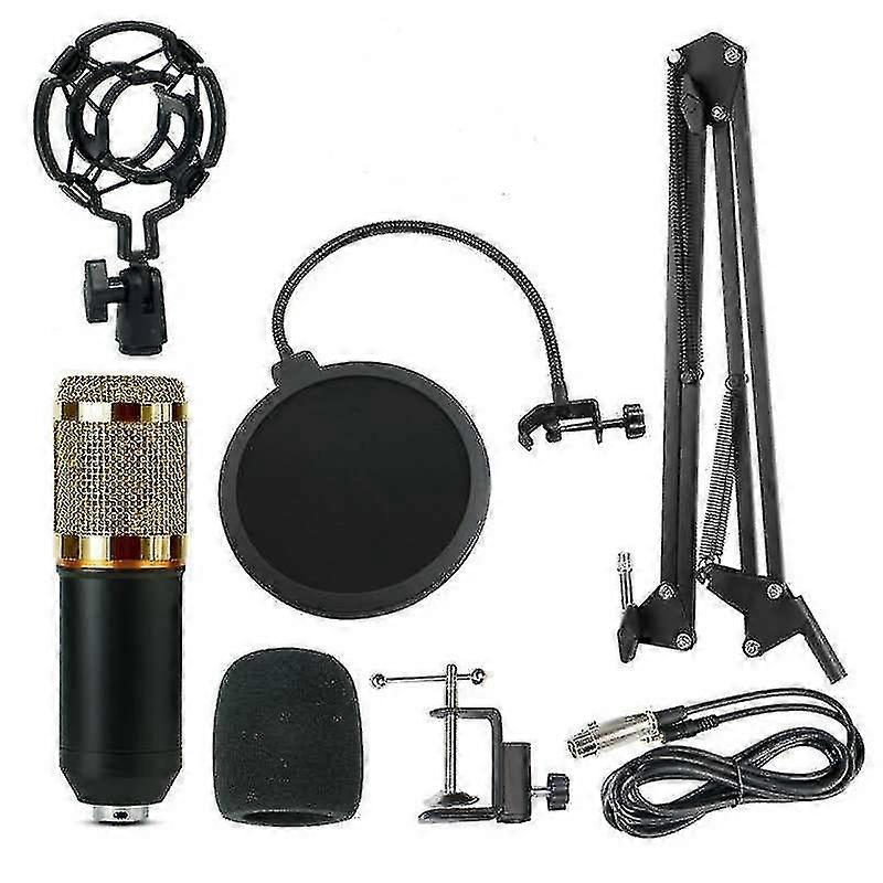 Microphone Kit With Adjustable Suspension Scissor Arm For Studio Broadcasting Recording
