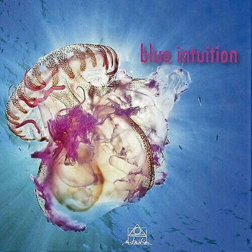 Various Artists Blue Intuition CD (2019) NEW