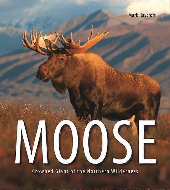 Moose by Mark Raycroft Paperback