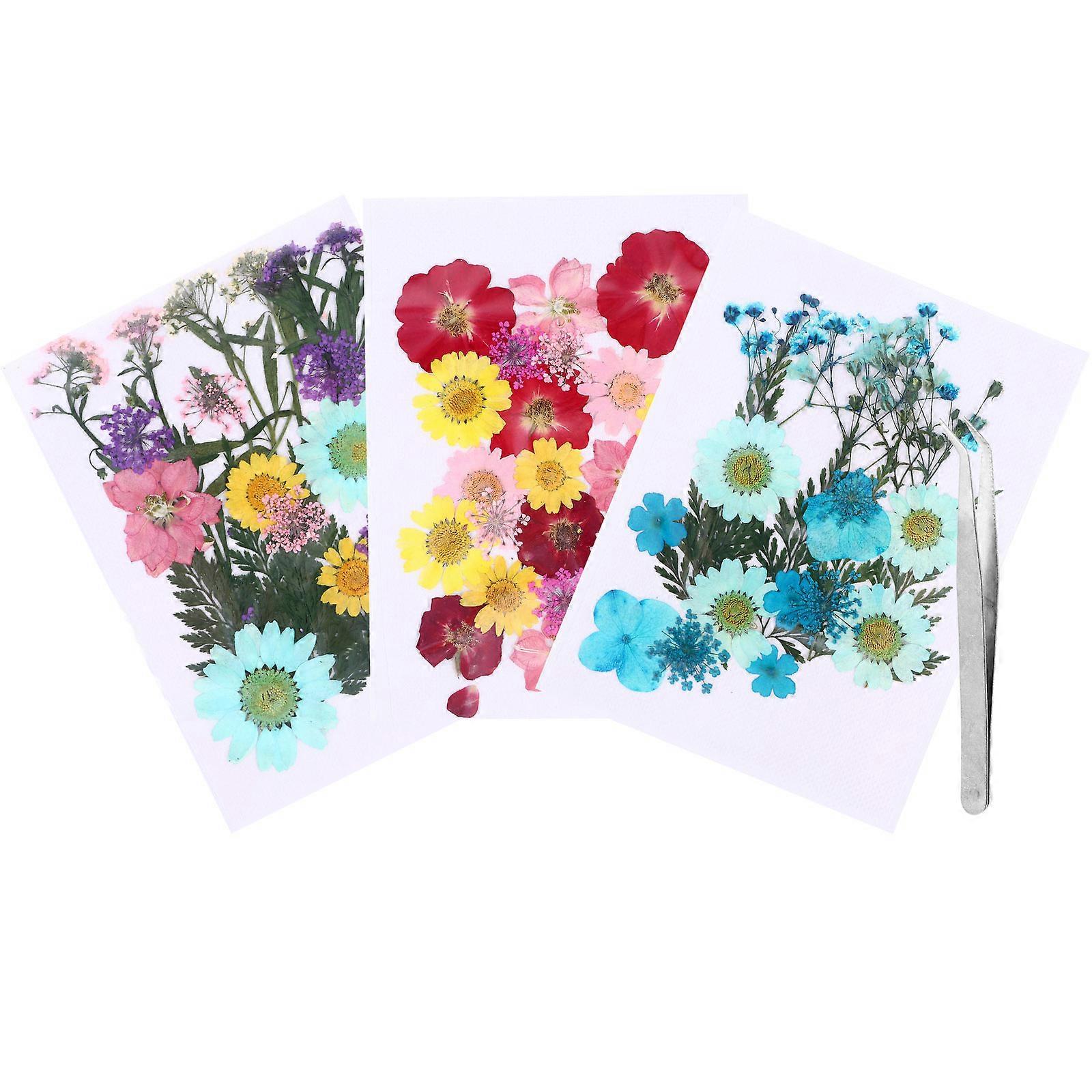Real Pressed Flowers Set For Craft Enthusiasts Diy Accessories 1Set