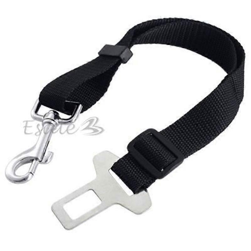 Car seat belt leash