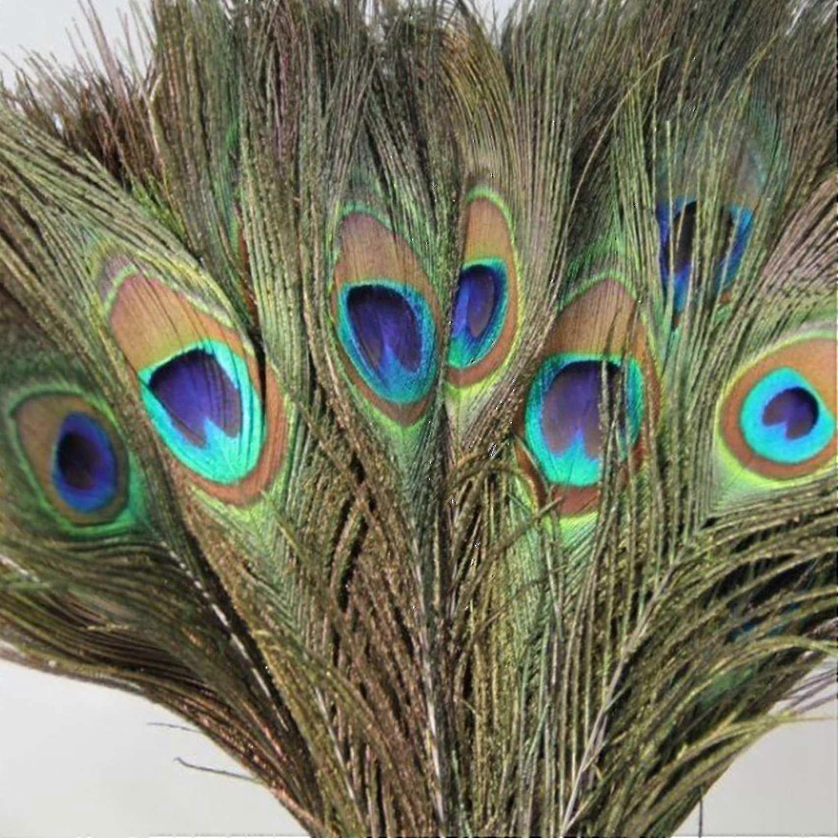 Peacock feathers 10-12 inch for DIY projects and decorations