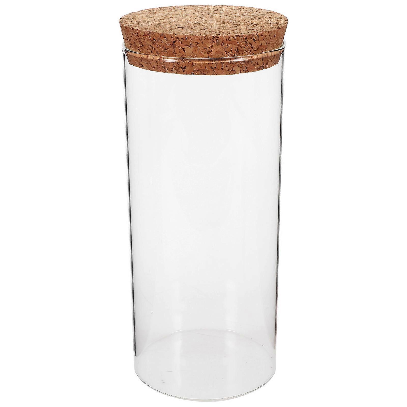 Transparent Glass Planter Hydroponic Vase for Storage with Lid