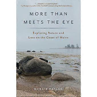 More than meets the eye exploring nature and loss on the coast of maine