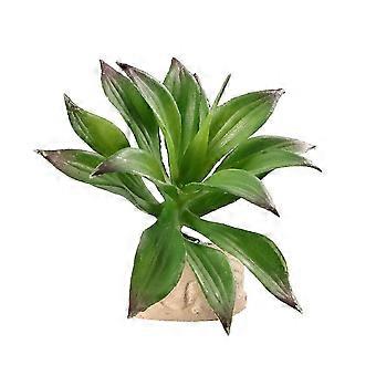 Terrario rettile Decor tartaruga acquario pianta decorativa per terrario 2 pezzi