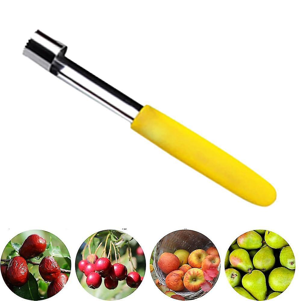 Apple Corer,premium Stainless Steel Removerpuller,hand-held Kitchen Tool - Great Handle - 1 Pack