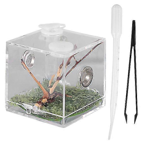 Reptile Breeding Box With Dropper And Forceps Pet Terrarium Transparent Case