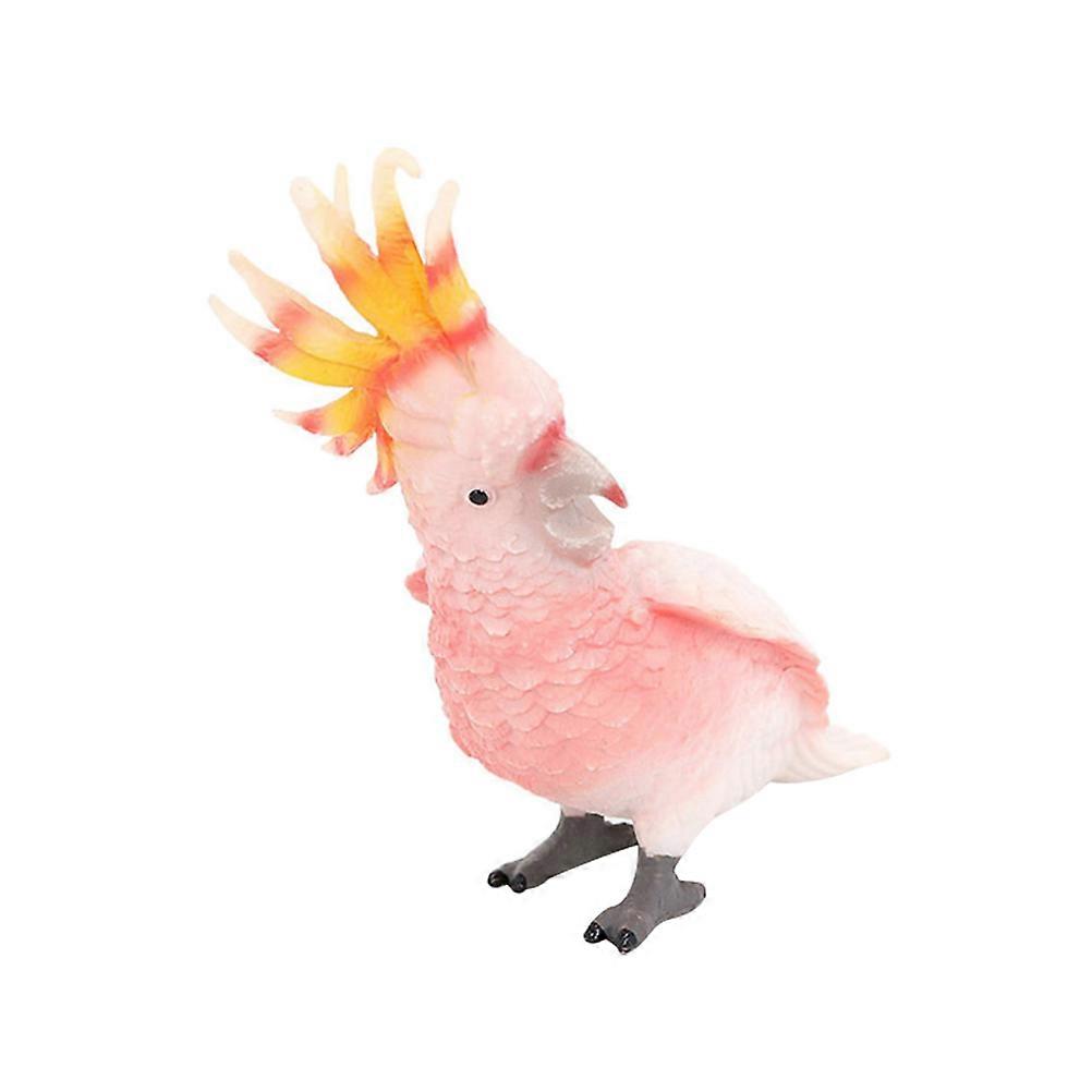 Teaching Aids Dashboard Decoration Multi Color Plastic Model Stands Steadily on Smooth