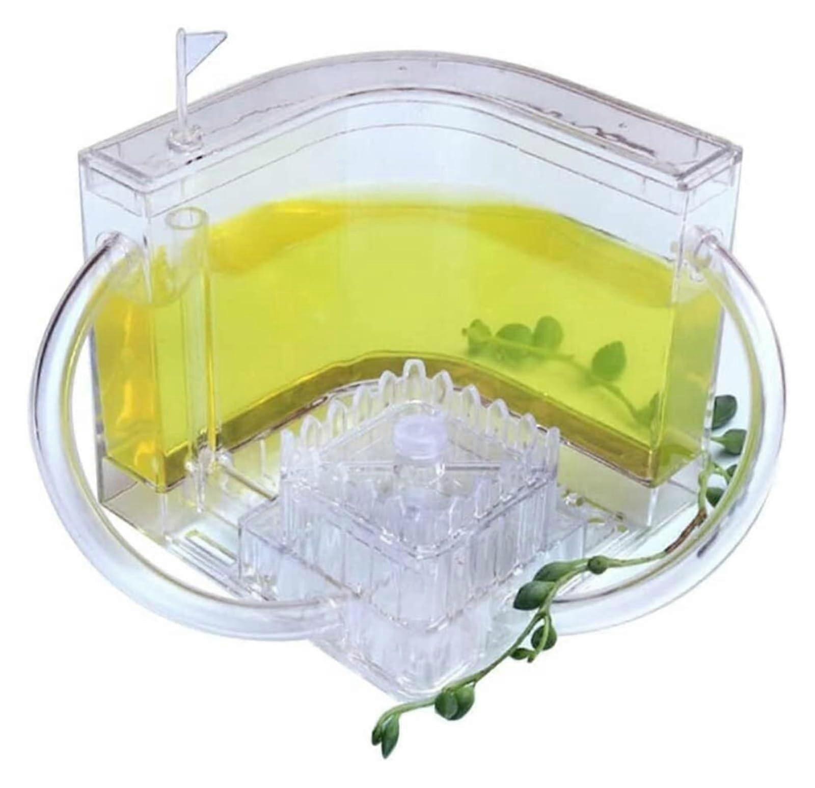 Ant Farm Ant Castle, Translucent Gel Ant Farmhouse with Connecting Tube, Workshop, Ant Terrarium, Observation Learning Science Kit Observation