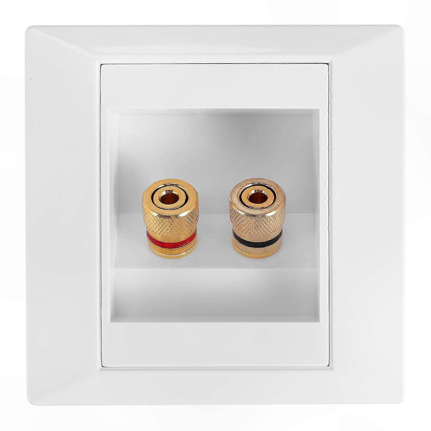 o Wall Socket with Dual Speaker Ports for Home Setup