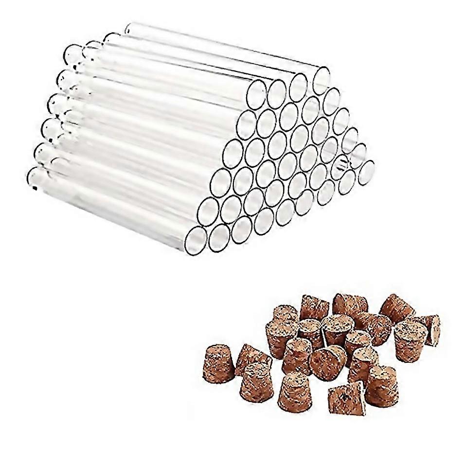 For Pack Of 40 Plastic Test Tubes With Corks 20ml Test Tubes For Flowersfor Diy Craft Candy Liquids
