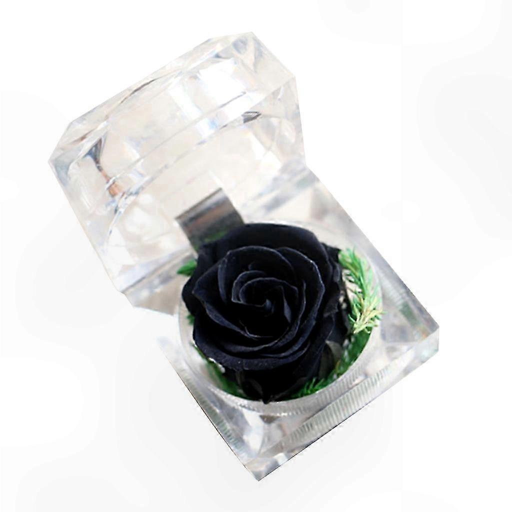 Timeless Preserved Rose - Perfect for Valentine's Day, Anniversaries & Mother's Day - Real Rose Floral Display