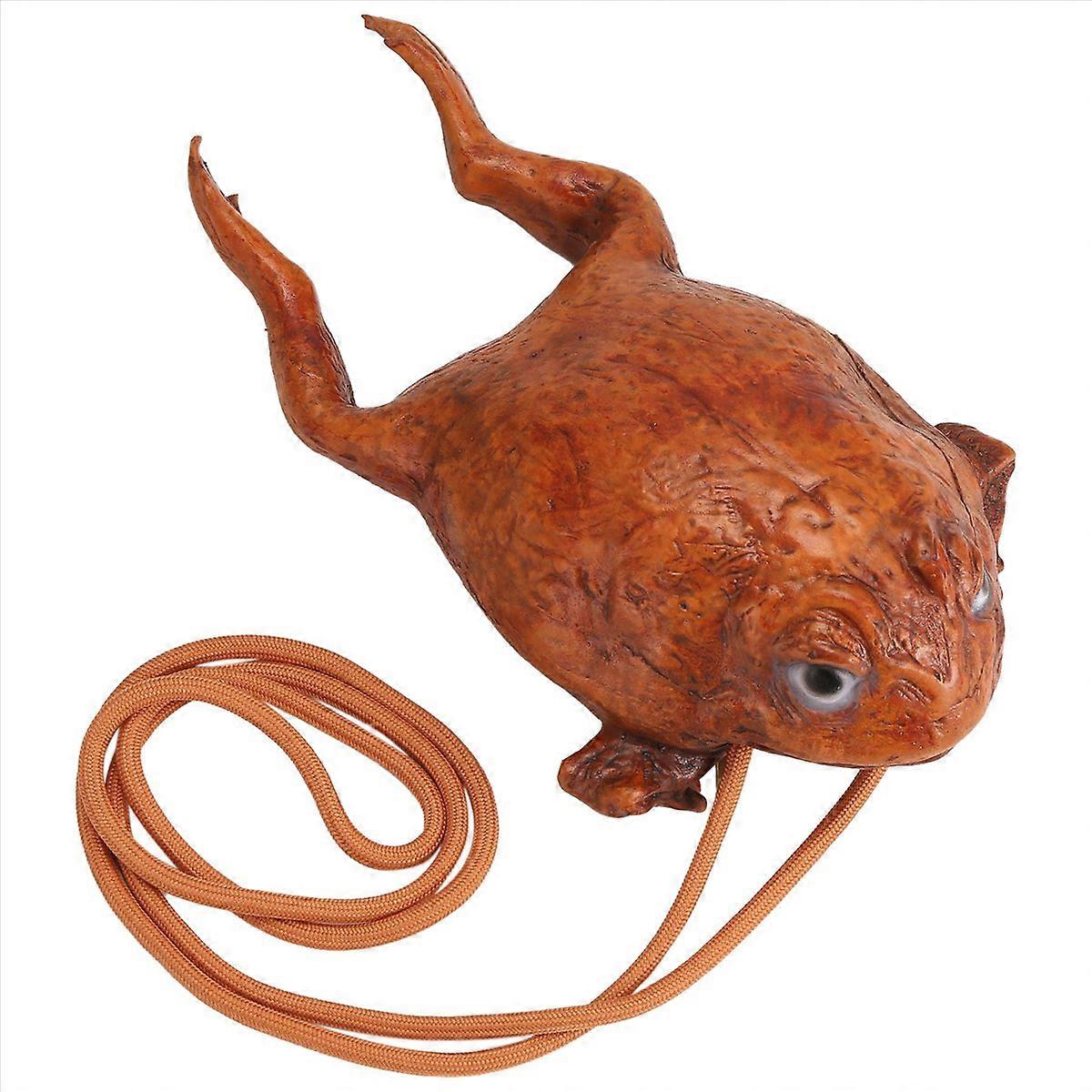 Funny Toad Wallet Individuality Animal Coin Pouch Realistic Frog