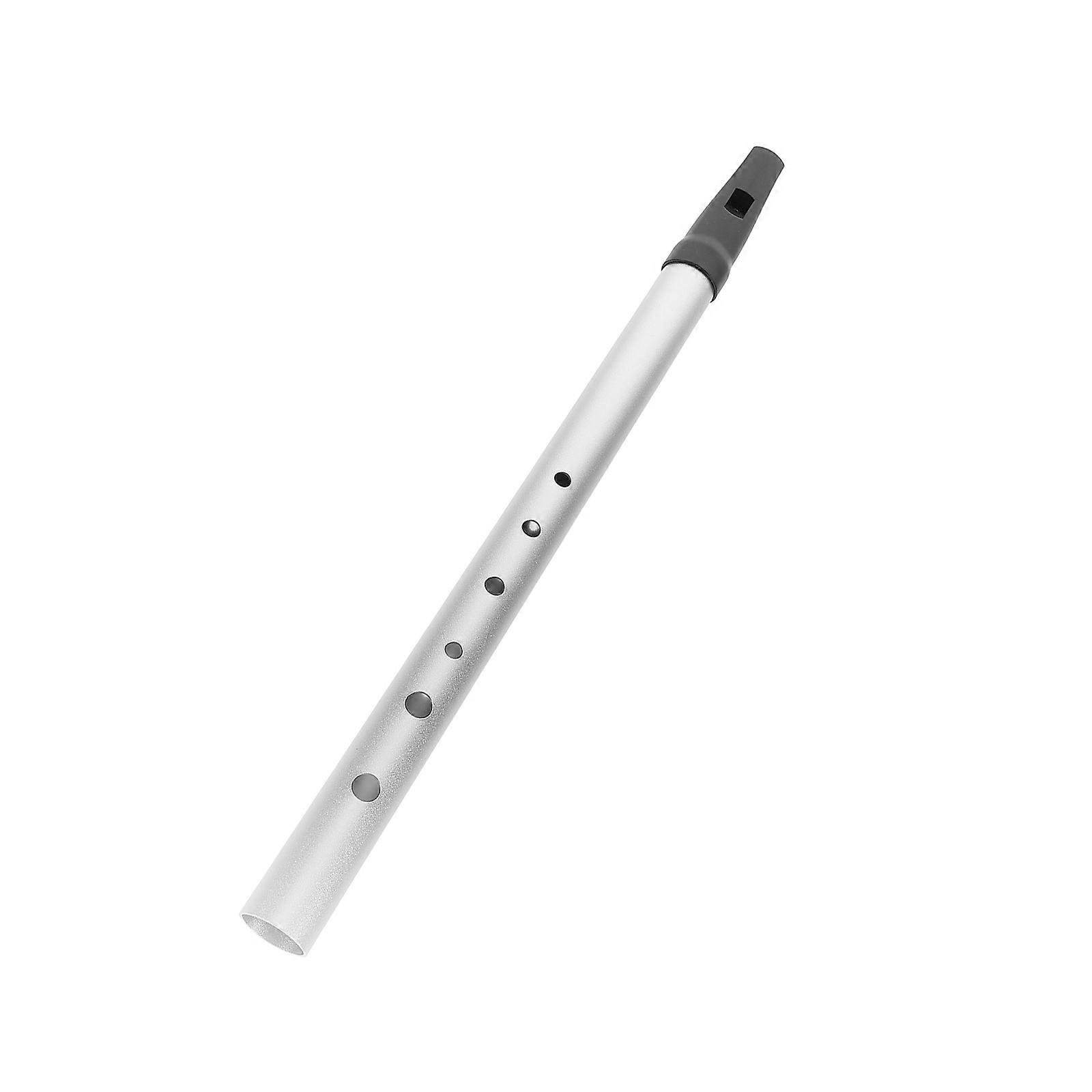 Irish Whistle Six-Hole Flute for Beginner Training in Key of C Silver Tone