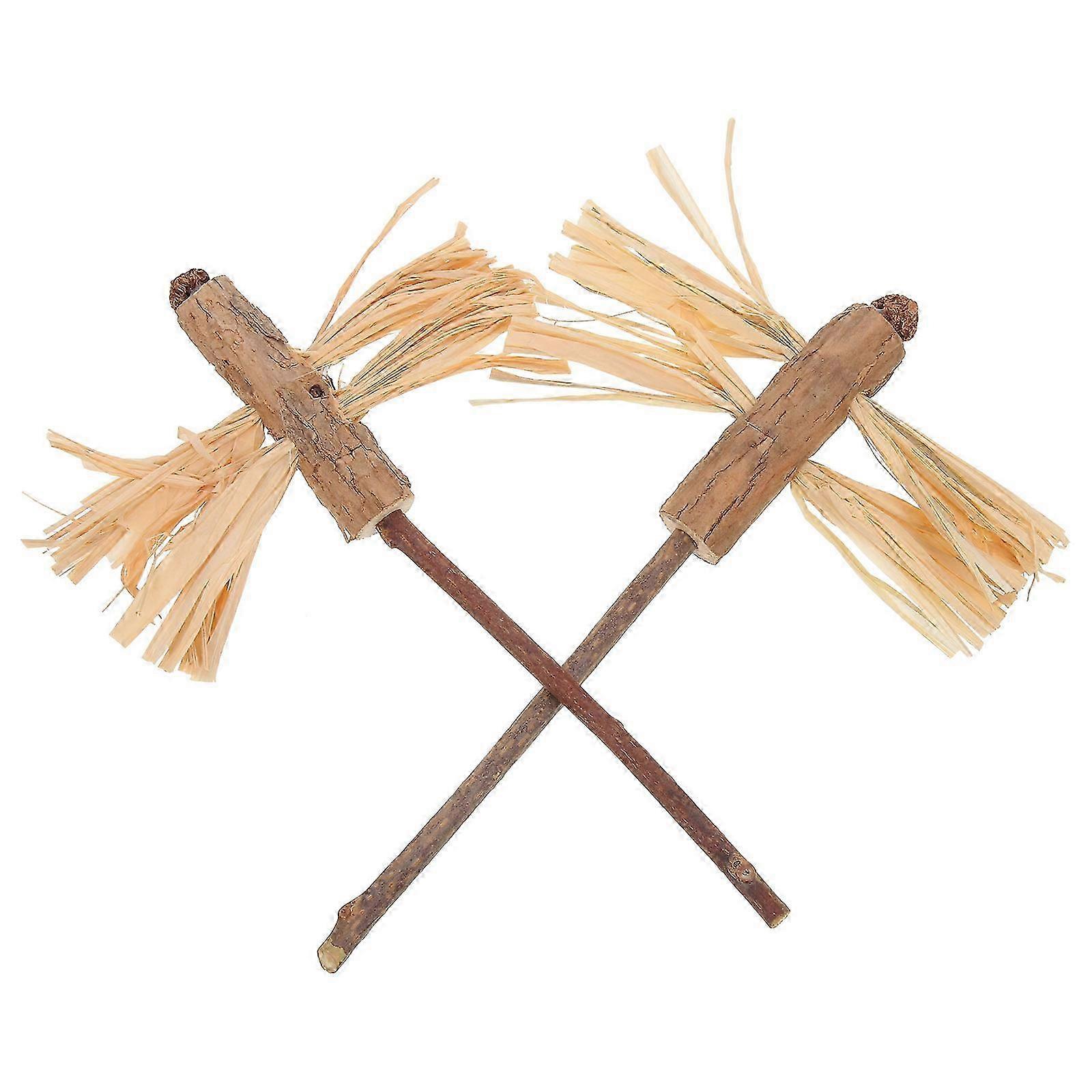 2Pcs Cat Catnip Sticks Cat Teeth Cleaning Toys Cat Molar Sticks Portable Cat Treat Sticks Cat Toys