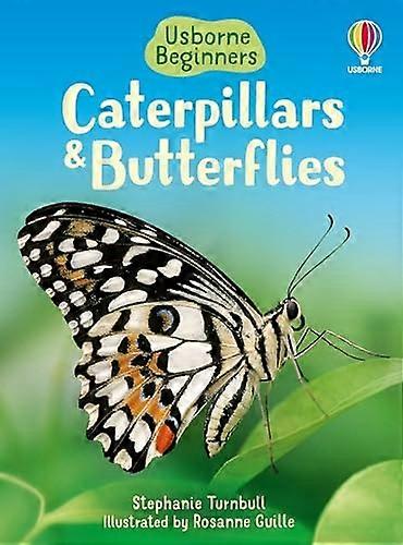 Caterpillars and Butterflies (Beginners)