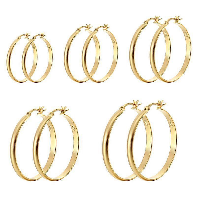 Dramatic Statement Hoop Earrings: Fashionable, Niche, and Versatile