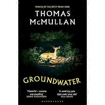 Groundwater Complex chilling masterful Financial Times