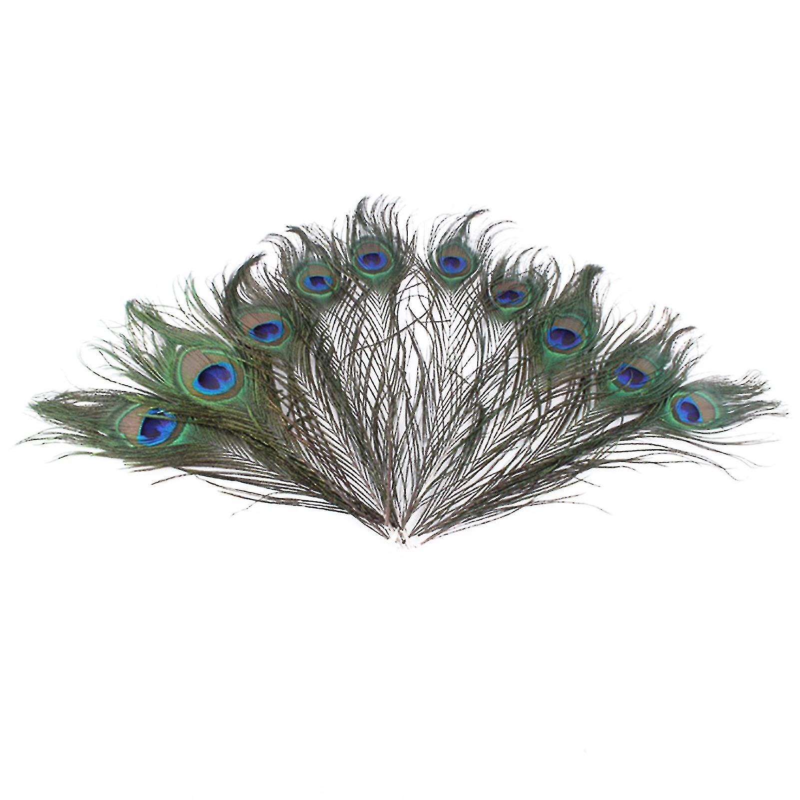 10pcs Peacock Feathers Attractive Diy Creation Natural Peacock Eye Tail Feather For Party-hao