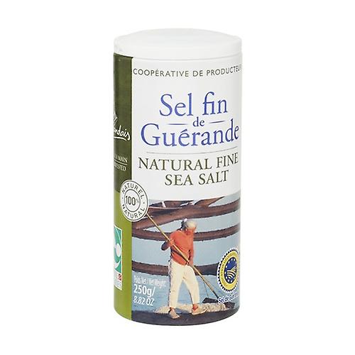 Fine salt jug 250 g