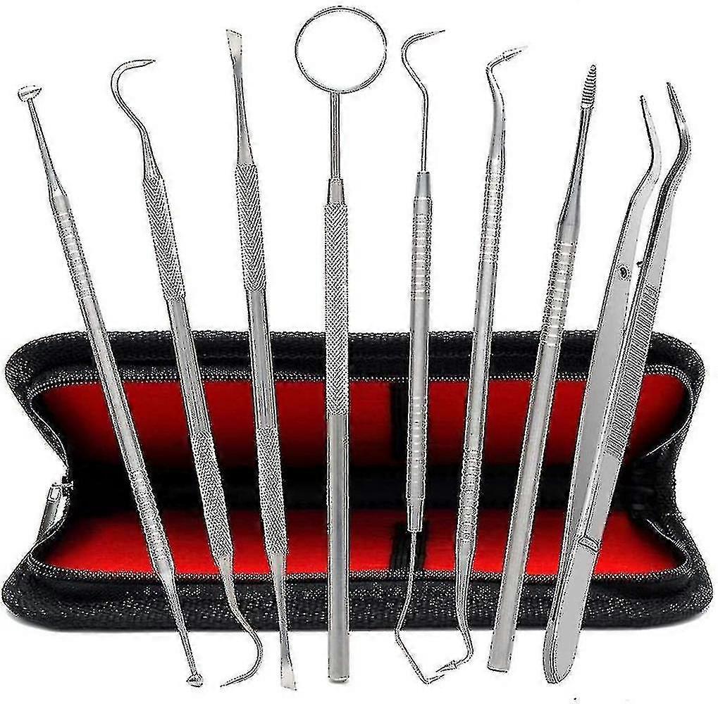 Ensemble de 8 instruments dentaires en acier inoxydable