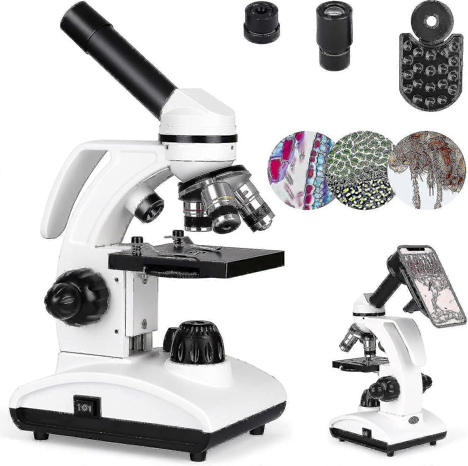 40x-1000x Microscope For Laboratories And Students, Compound Monocular With Handle, Eyepiece (wf10x/25x) And 10 Sliders, With Phone Adapter