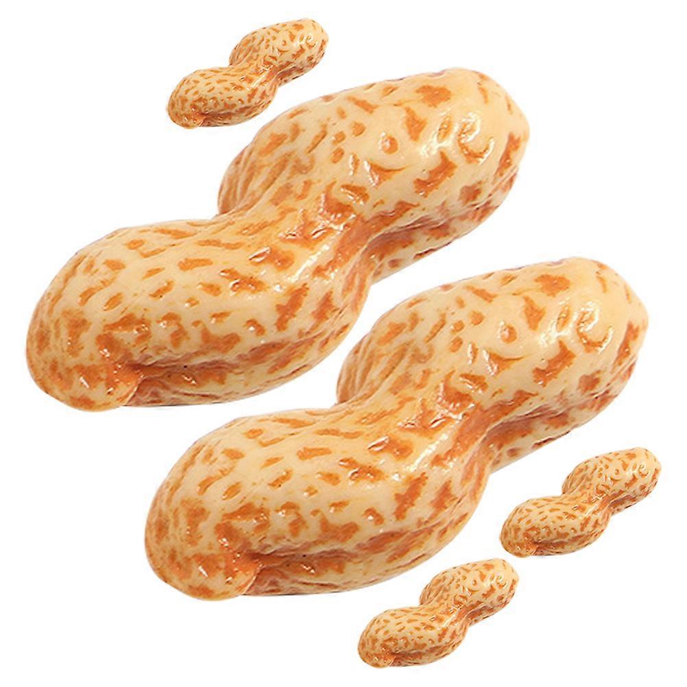 Simulation Peanut Ornament Artificial Peanut Prop for Display 6Pcs PVC