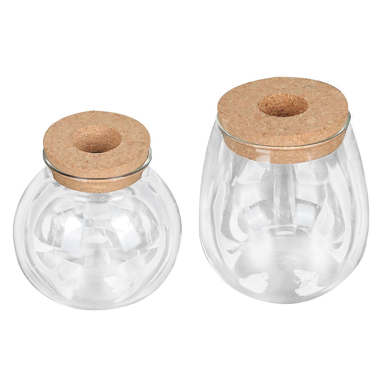 2pcs Transparent Glass Terrarium Bottles for Indoor Micro Landscape Display – Plant Decor for Home and Office Gardening