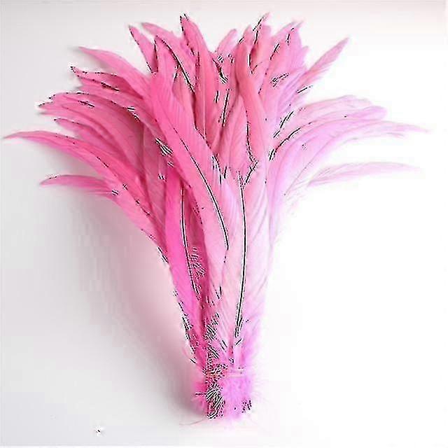 50pcs Penas de cauda de pintinho natural 25 -40cm / 10 -16 polegadas Decoração de roupas Palco Performance Galo